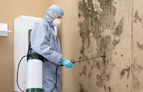 Best HVAC Mold Inspection and Cleaning  in Colon, MI